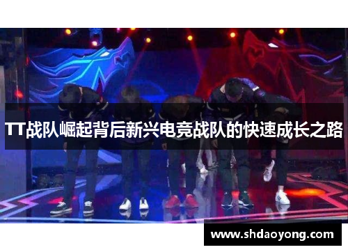 TT战队崛起背后新兴电竞战队的快速成长之路